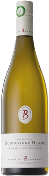Bourgogne Blanc - Cote d'Or